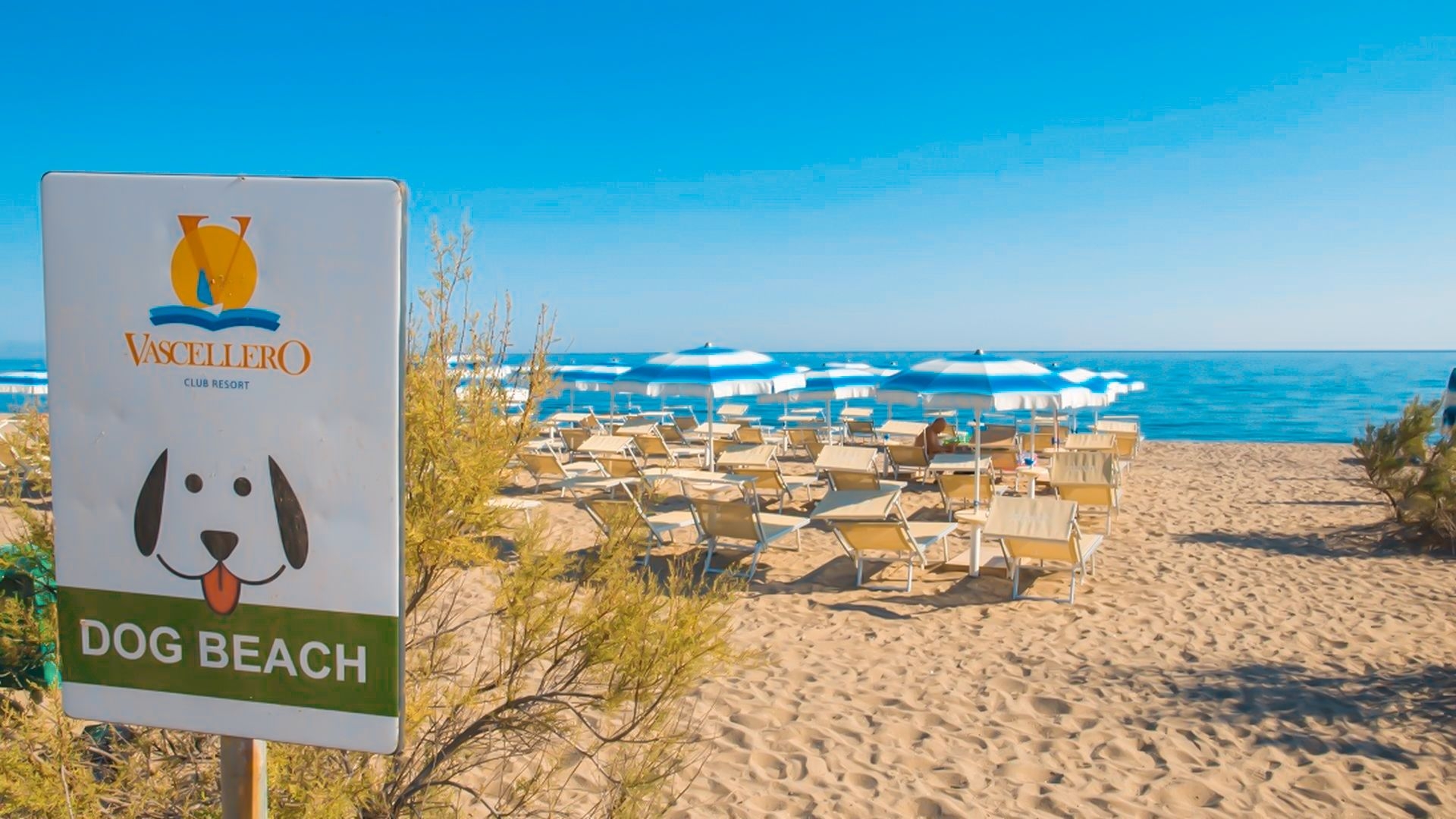 Vascellero Resort